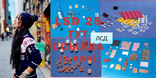 СК Алексин