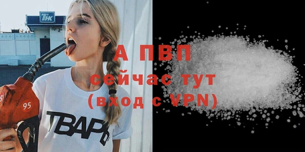 СК Алексин